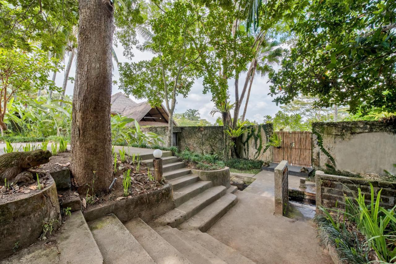 Villa Kelusa Убуд Экстерьер фото